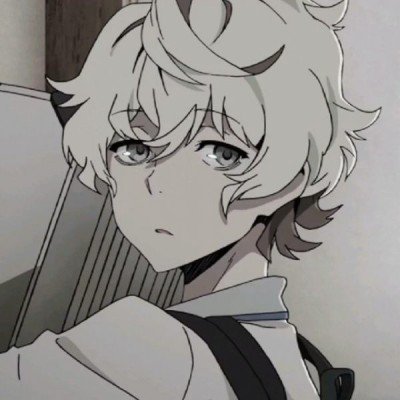 司长王小宁：我打个广告